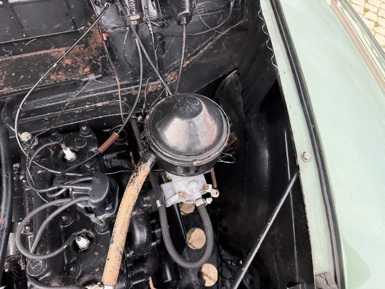 IMG_9845 – grande.jpeg