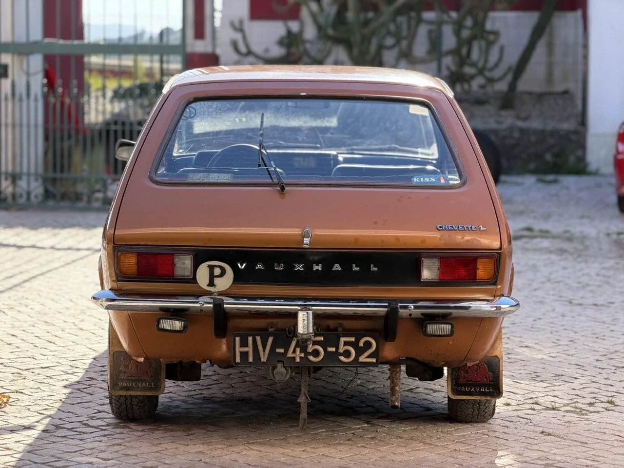 IMG_2341 – grande.jpeg