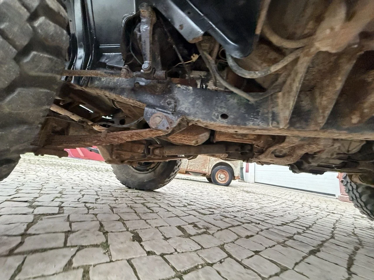 IMG_6536 – grande.jpeg