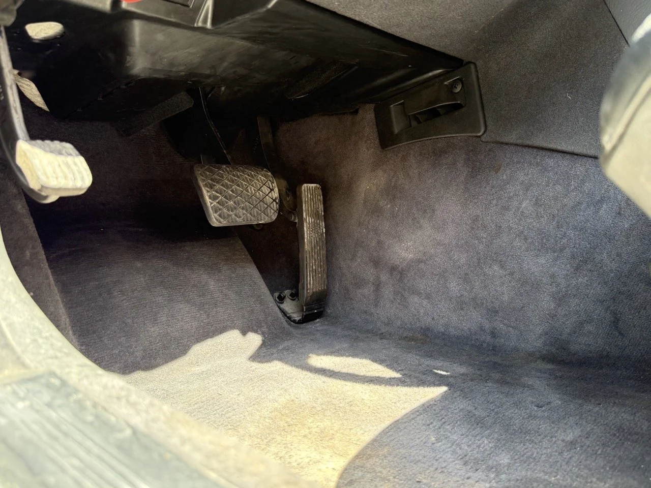 IMG_1765 – grande.jpeg