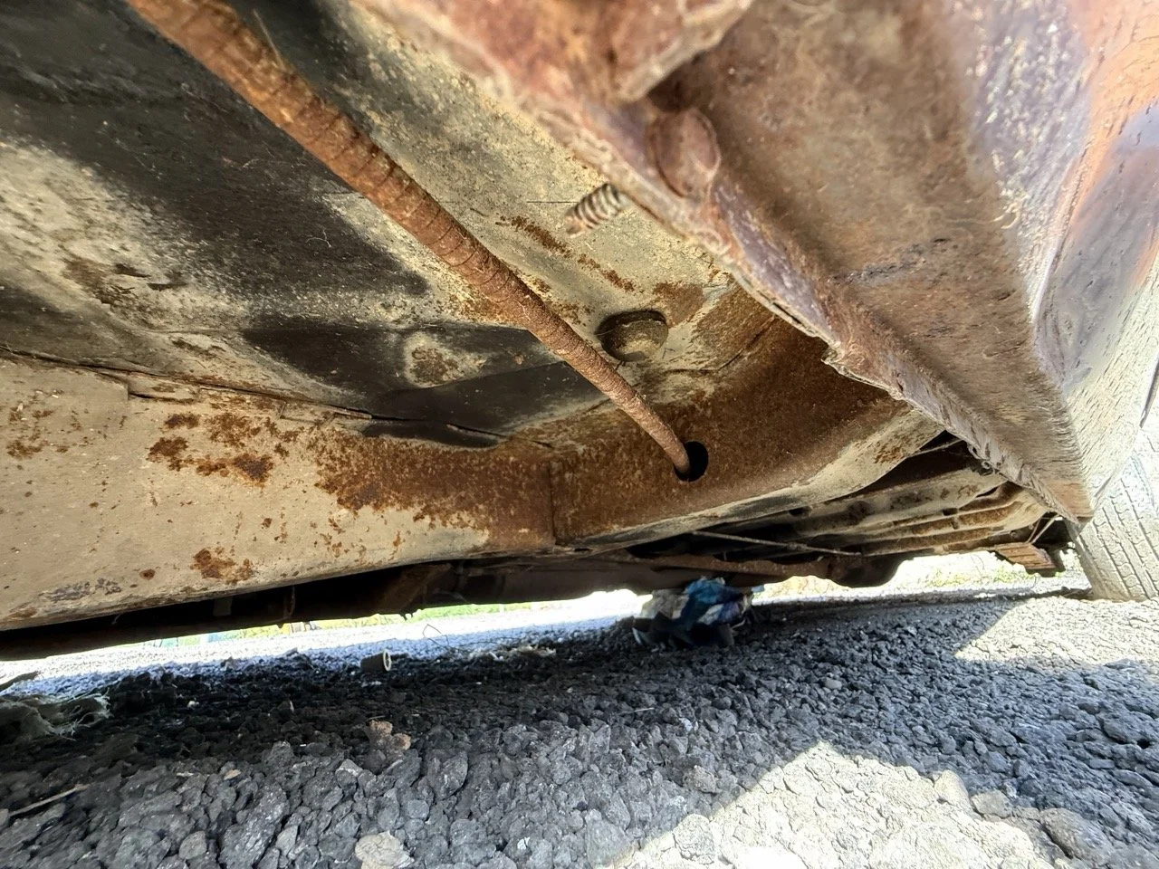 IMG_3050 – grande.jpeg