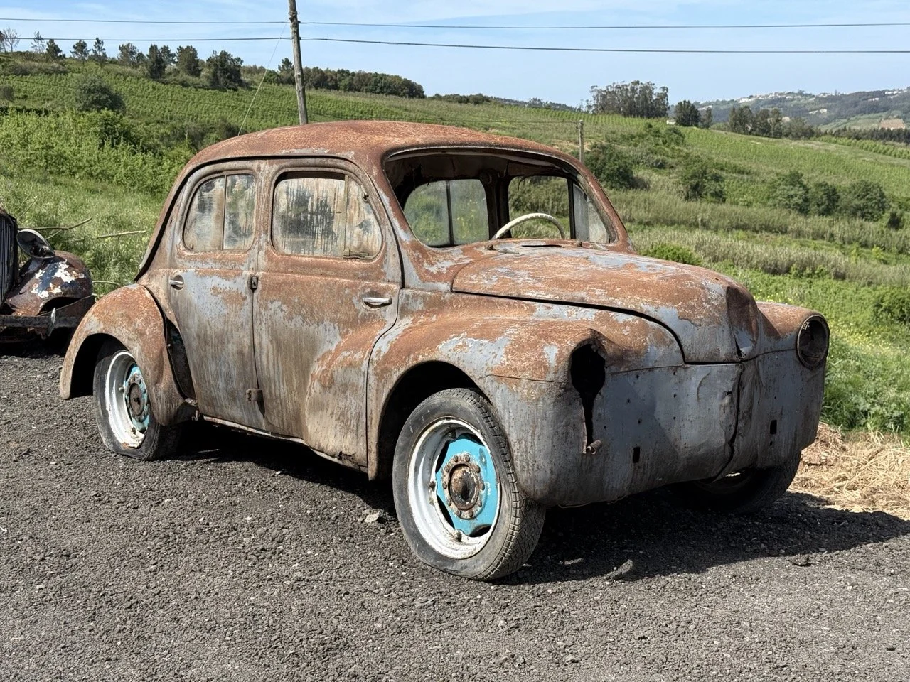 IMG_0262 – grande.jpeg