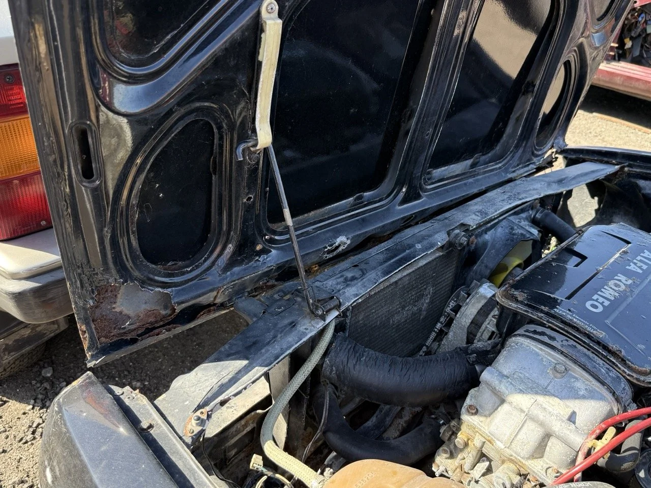 IMG_2932 – grande.jpeg