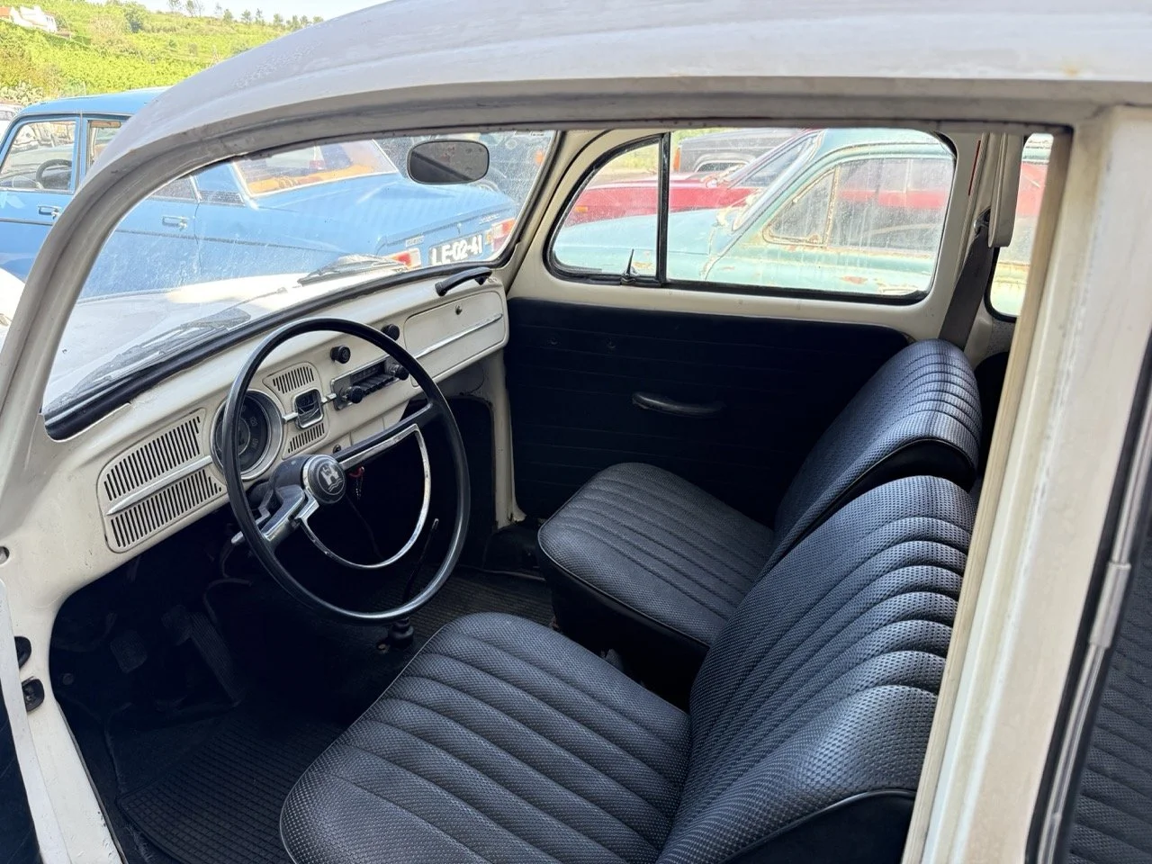 IMG_0672 – grande.jpeg