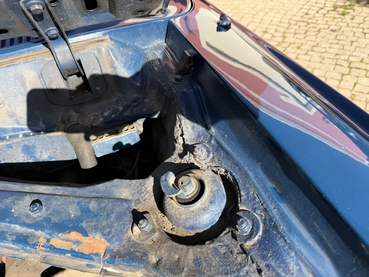 IMG_1852 – grande.jpeg