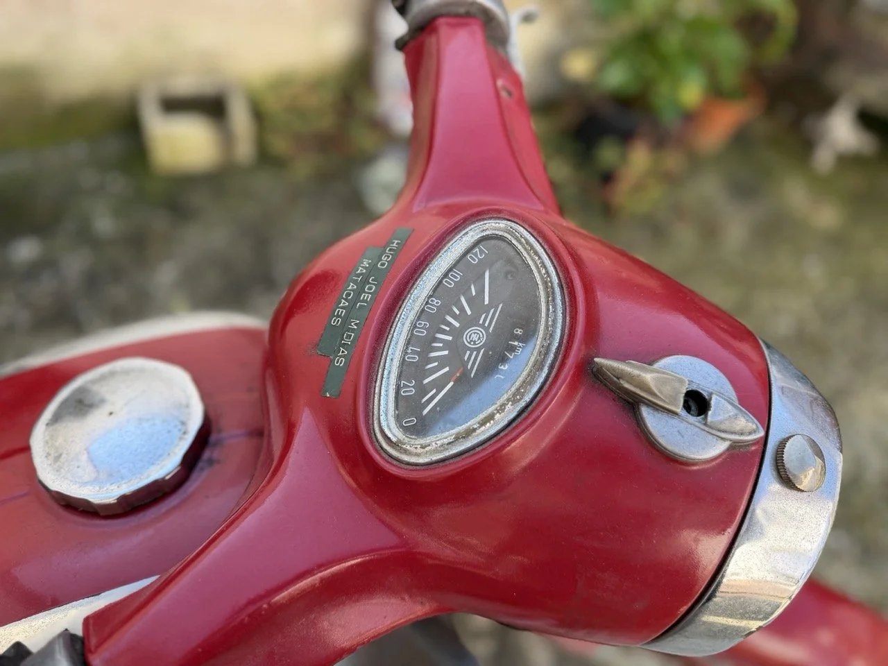 IMG_5907 – grande.jpeg