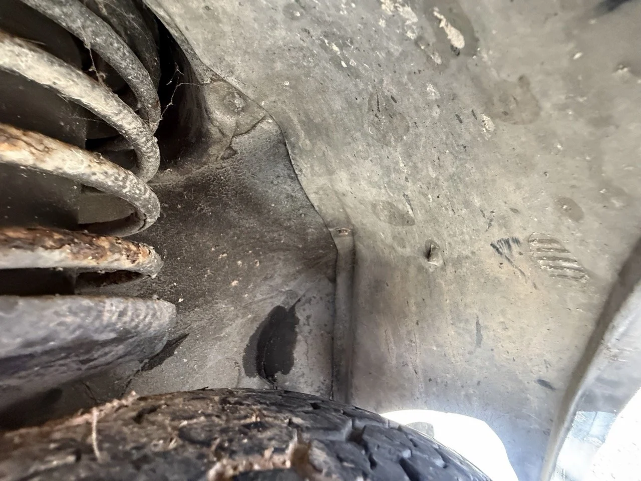 IMG_1243 – grande.jpeg