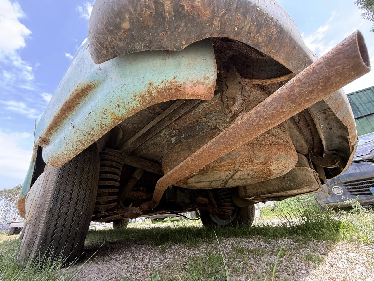 IMG_1426 – grande.jpeg