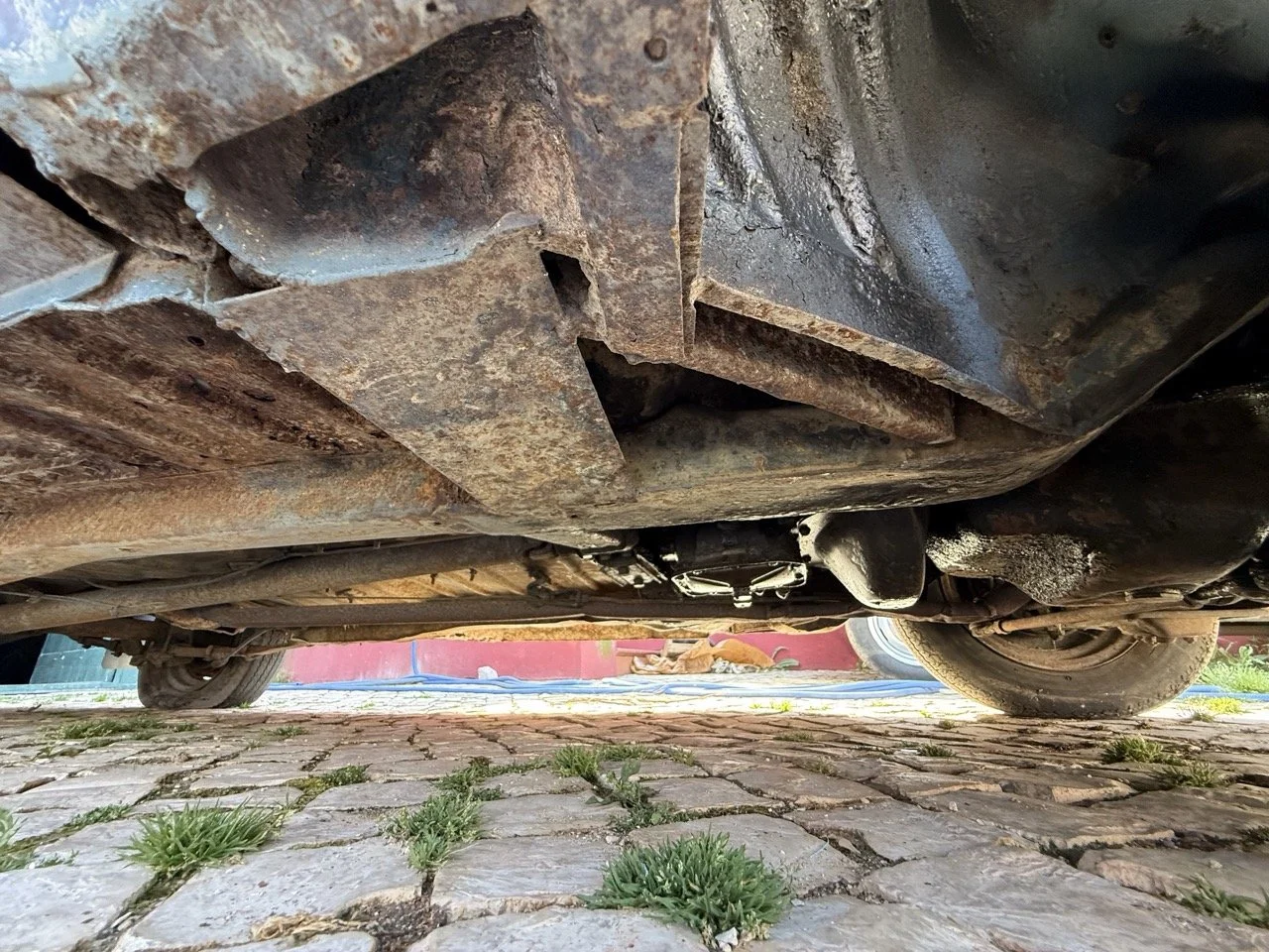 IMG_3563 – grande.jpeg