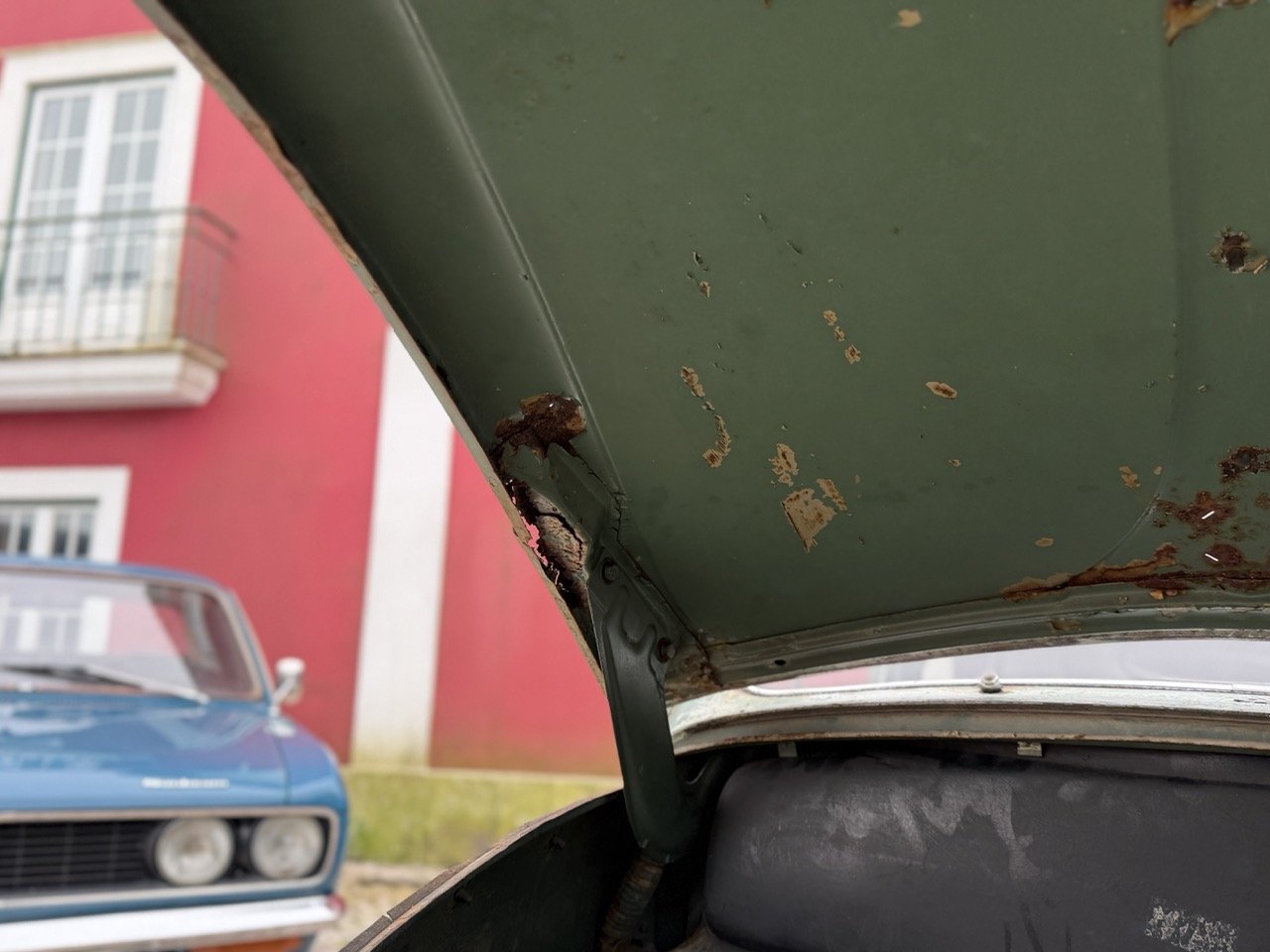 IMG_1188 – grande.jpeg