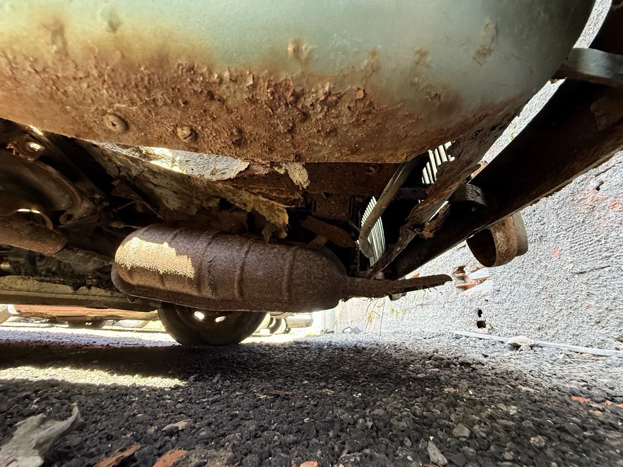 IMG_0890 – grande.jpeg