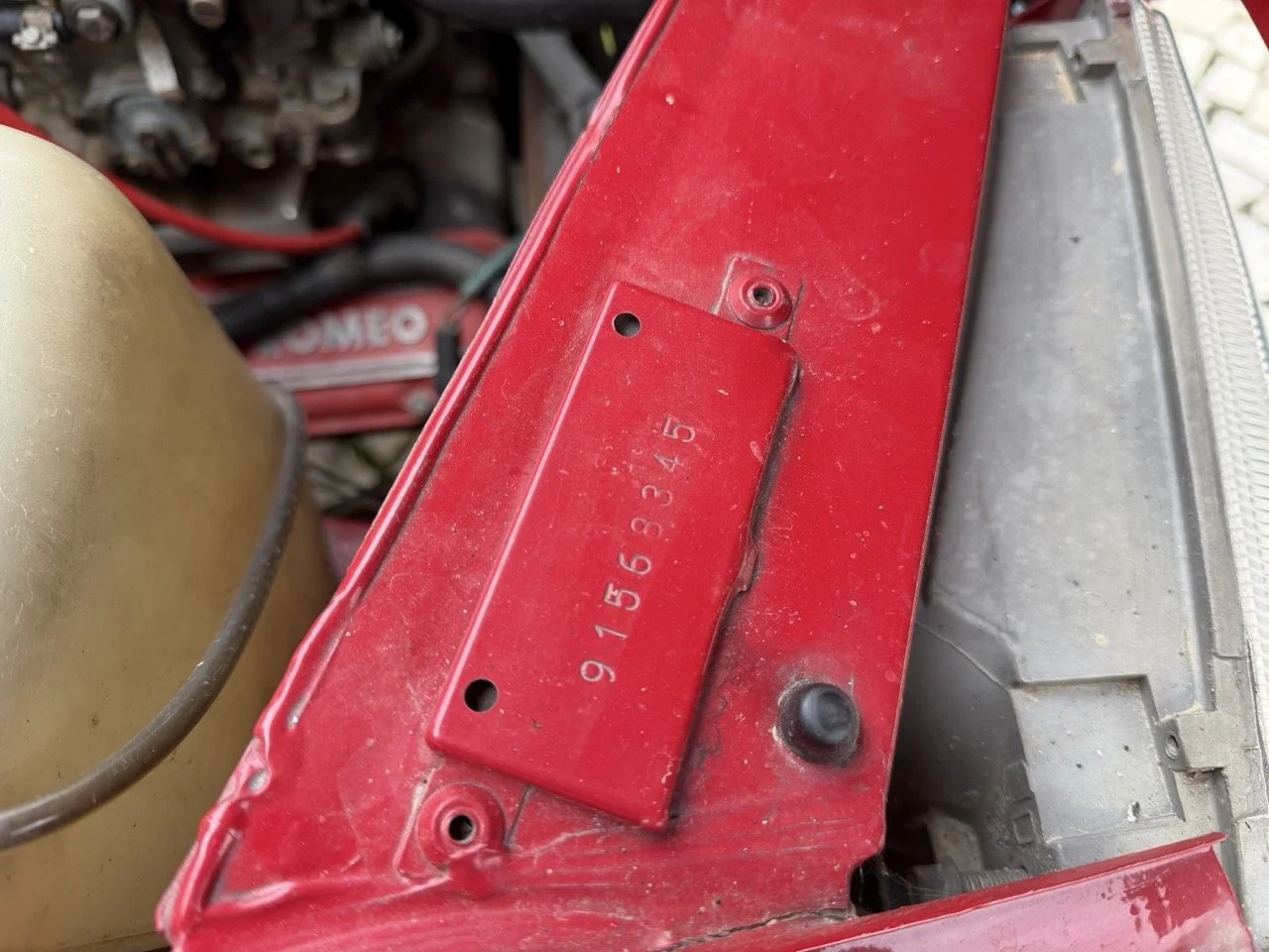 IMG_3481 – grande.jpeg