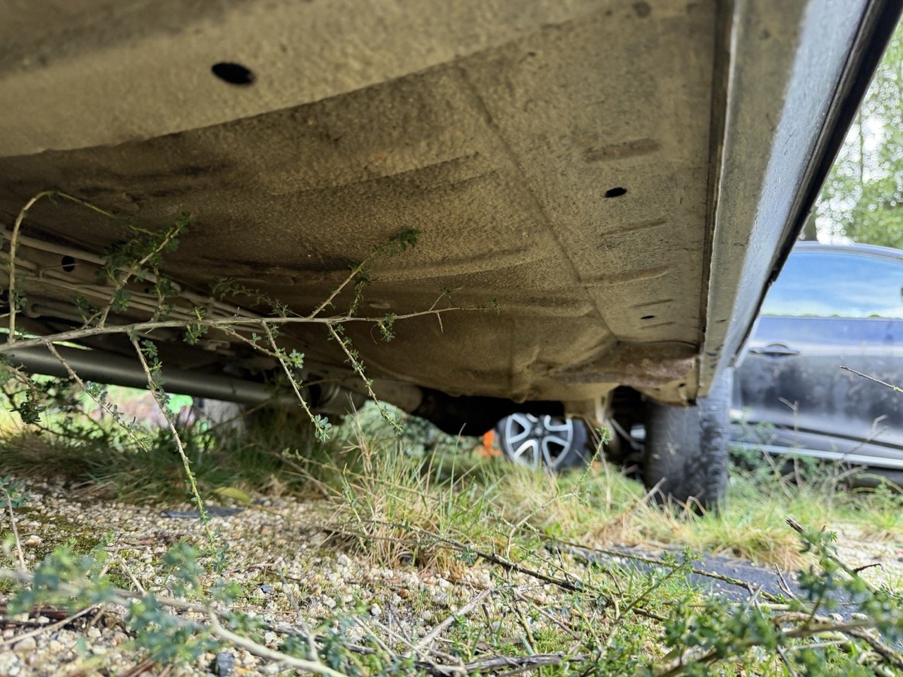 IMG_5254 – grande.jpeg