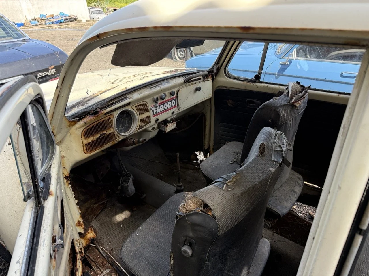 IMG_0638 – grande.jpeg