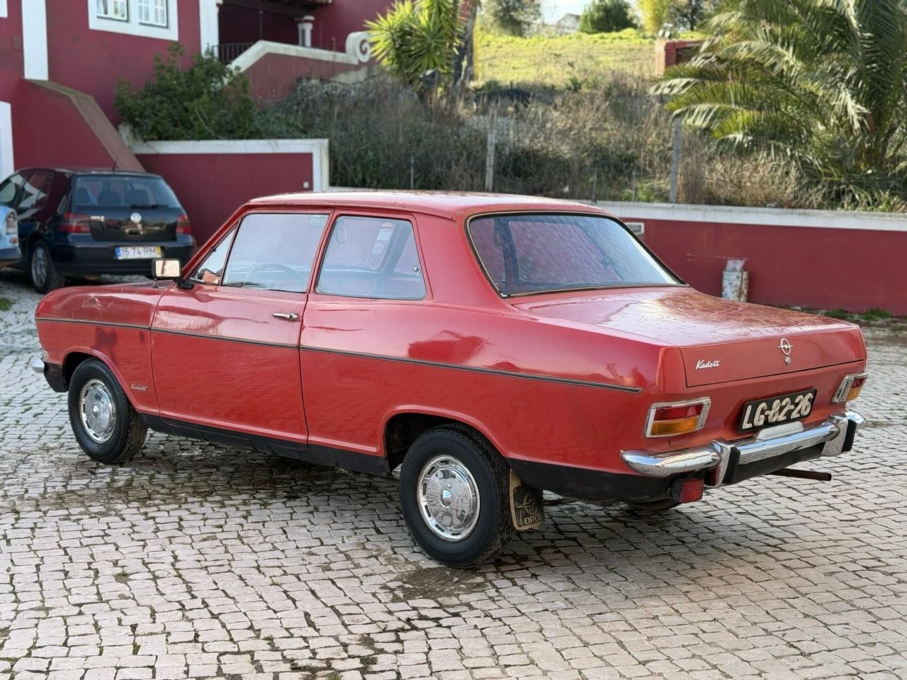 IMG_7686 – grande.jpeg