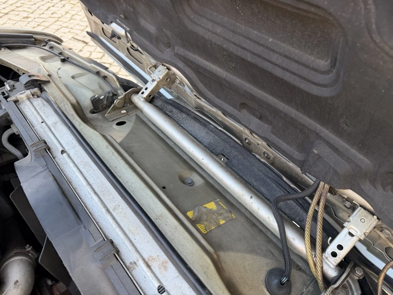 IMG_6985 2 – grande.jpeg