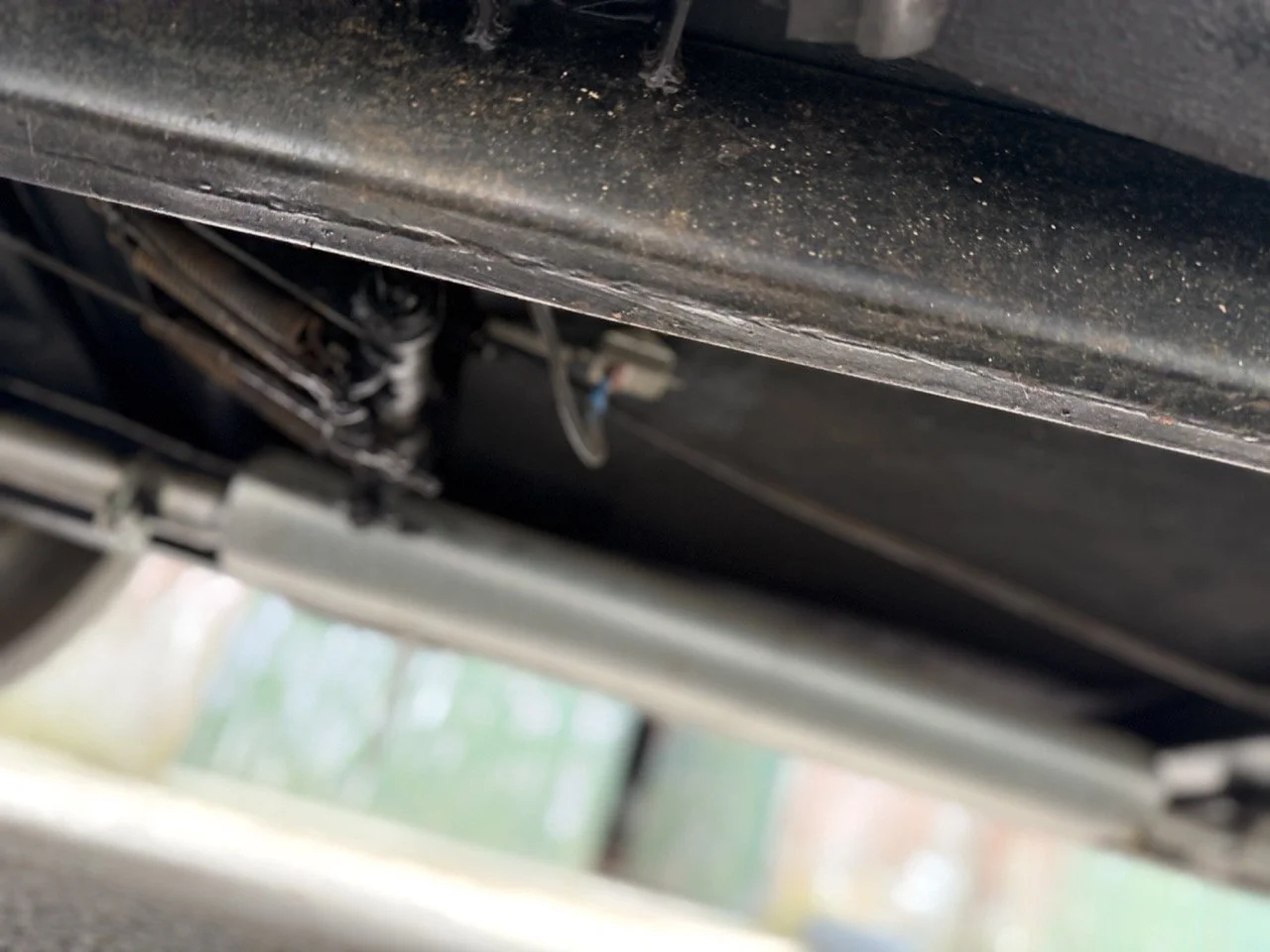 IMG_1490 – grande.jpeg