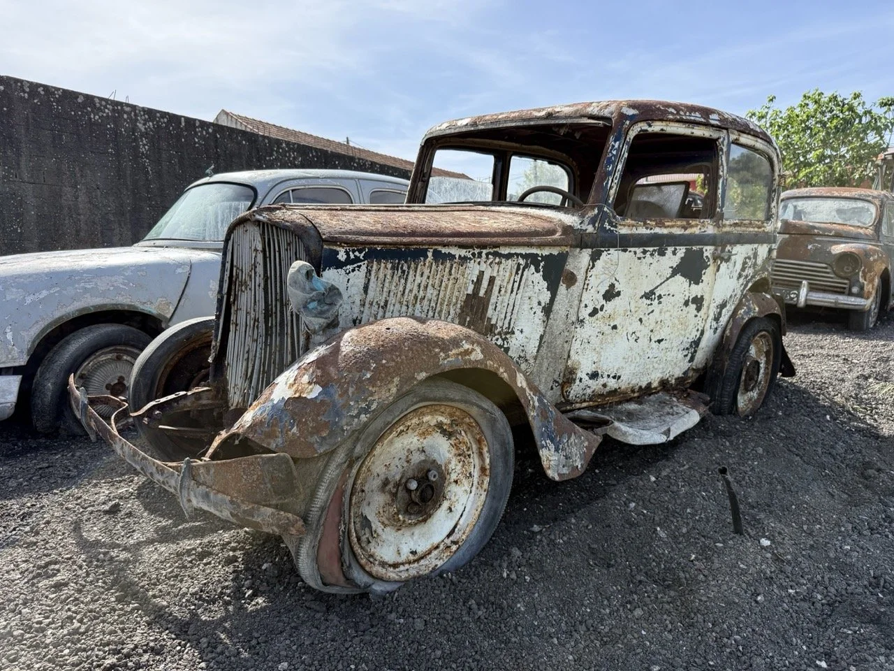 IMG_0354 – grande.jpeg