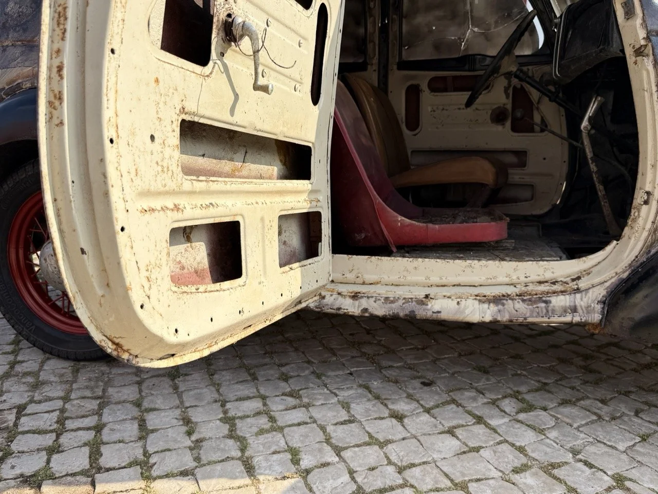 IMG_3721 – grande.jpeg