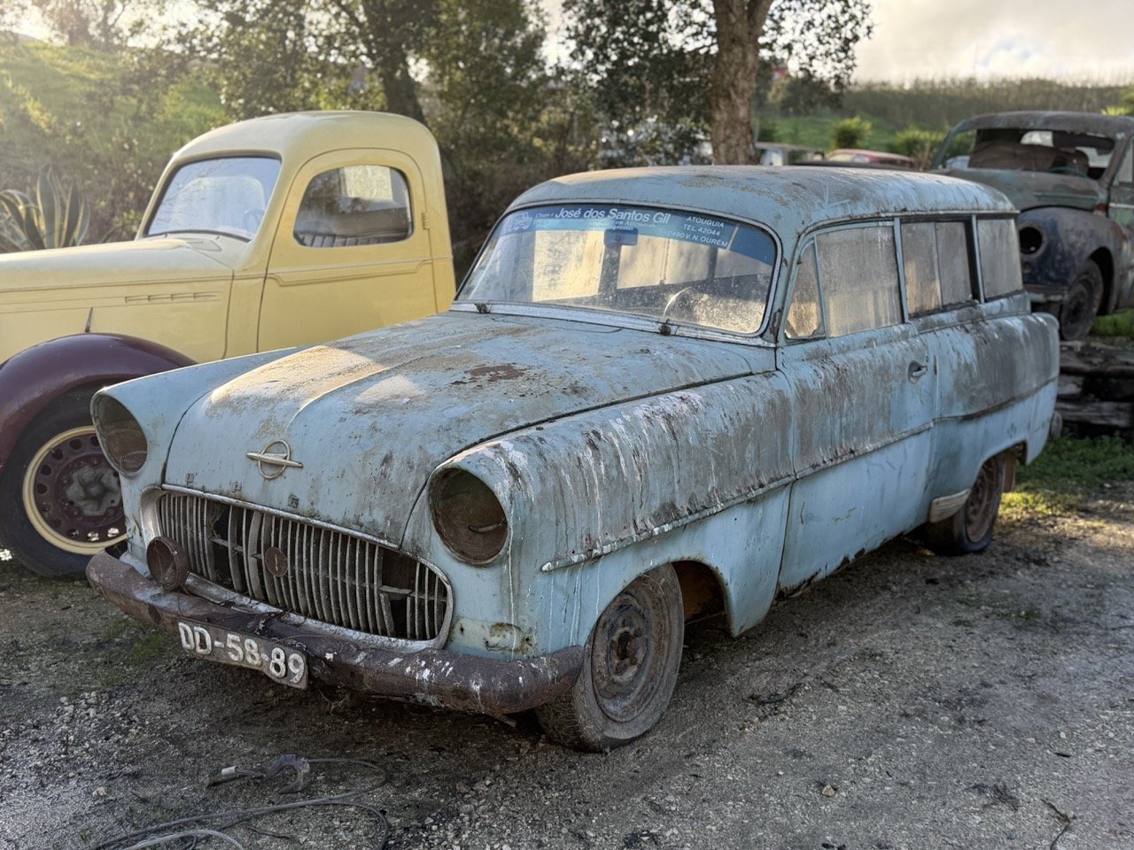 IMG_4034 – grande.jpeg