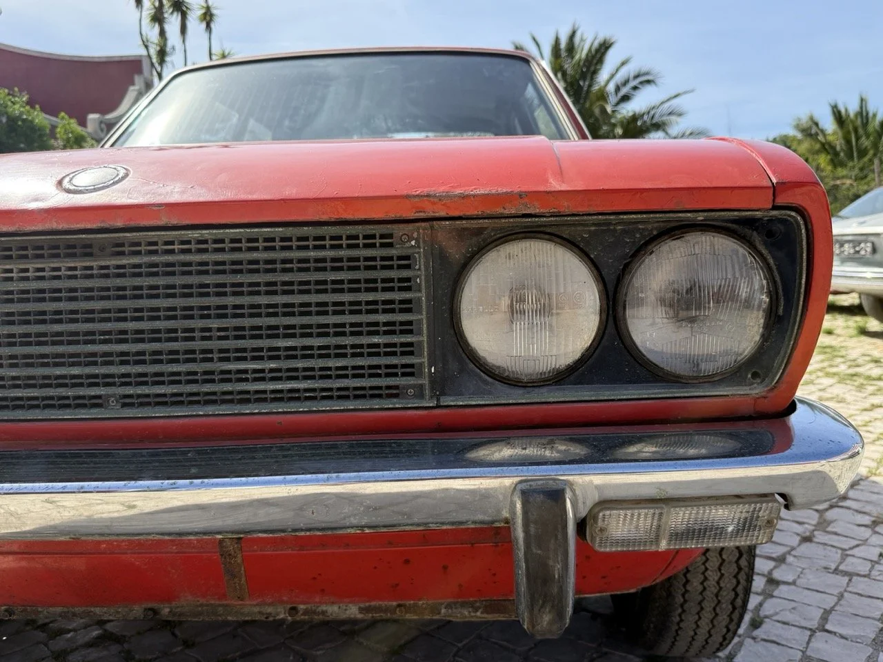 IMG_2356 – grande.jpeg