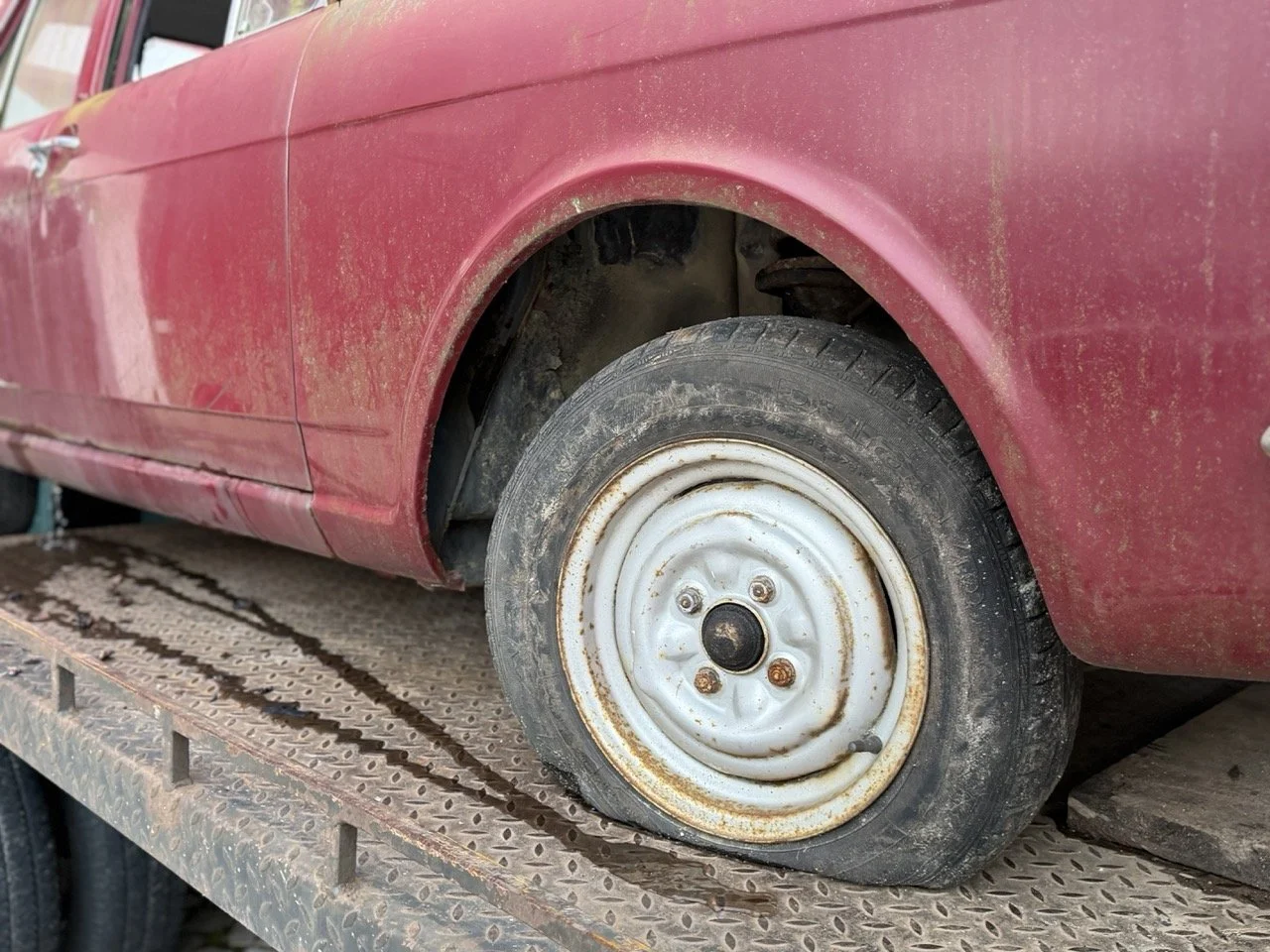 IMG_8980 – grande.jpeg