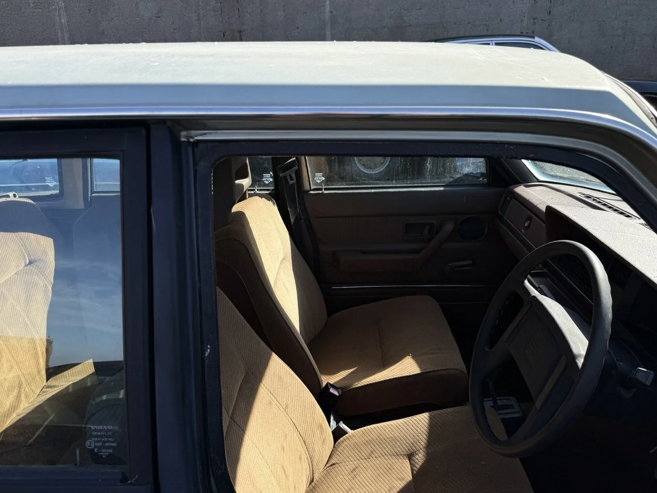 IMG_1216 – grande.jpeg