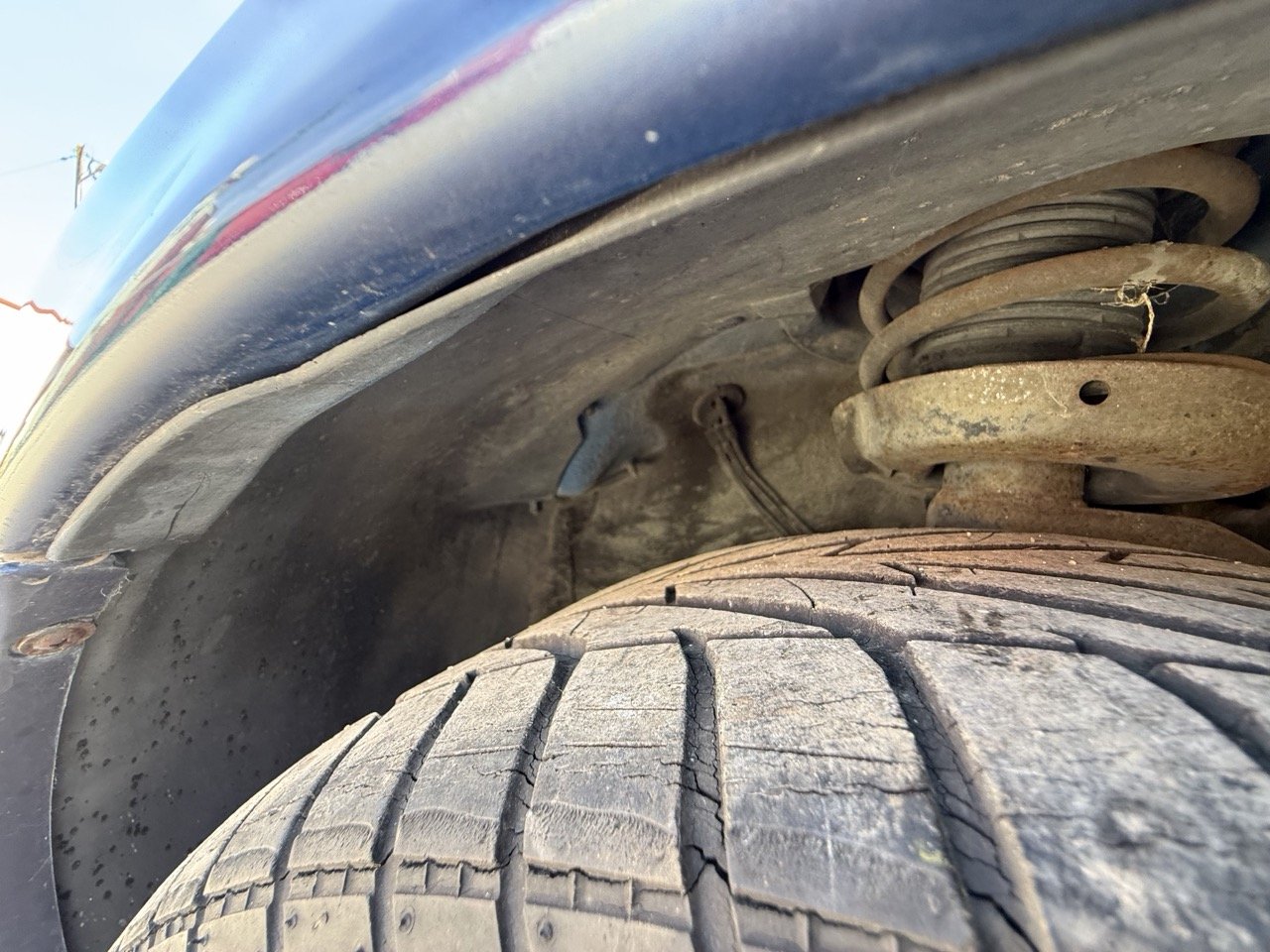 IMG_2494 – grande.jpeg