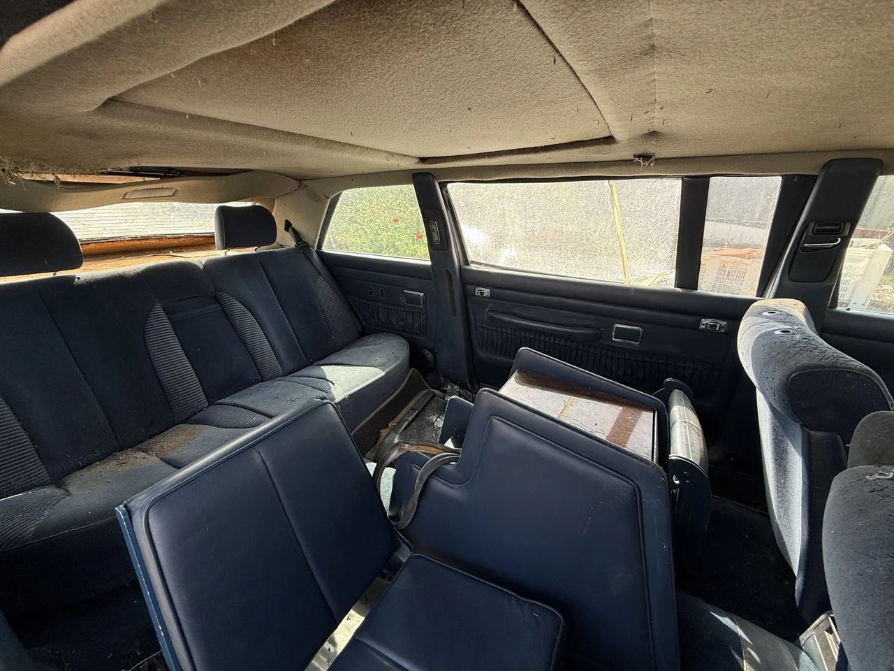 IMG_3438 – grande.jpeg