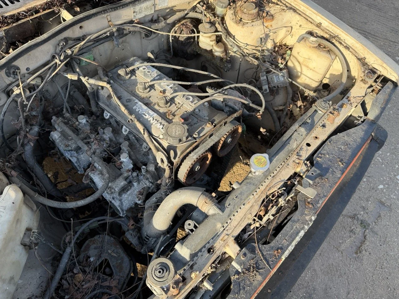 IMG_4020 – grande.jpeg