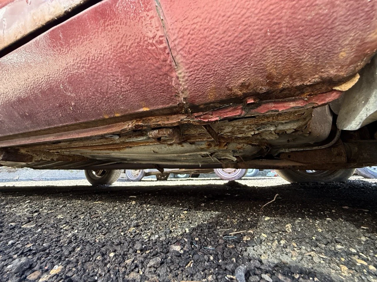 IMG_0973 – grande.jpeg