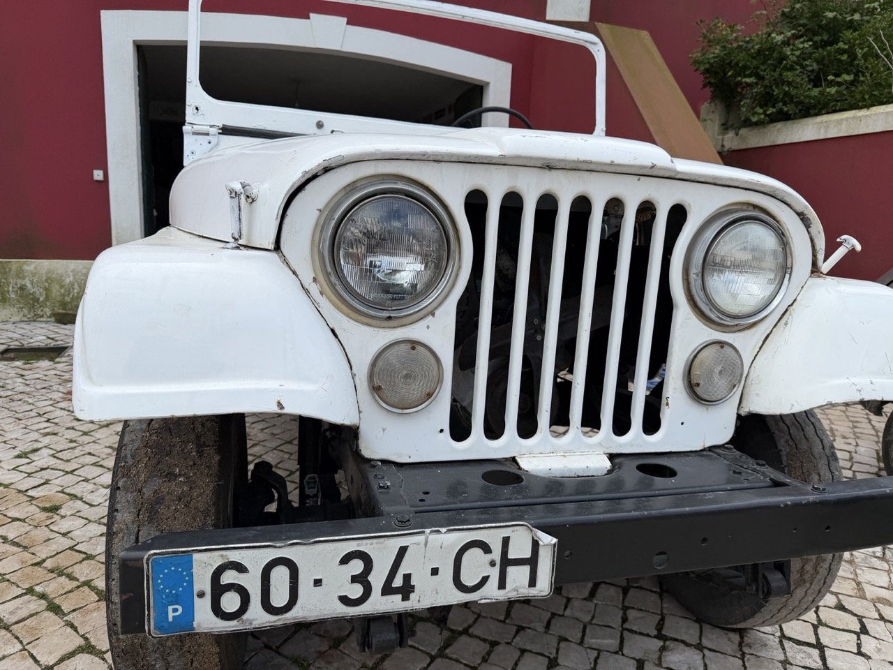 IMG_3919 – grande.jpeg