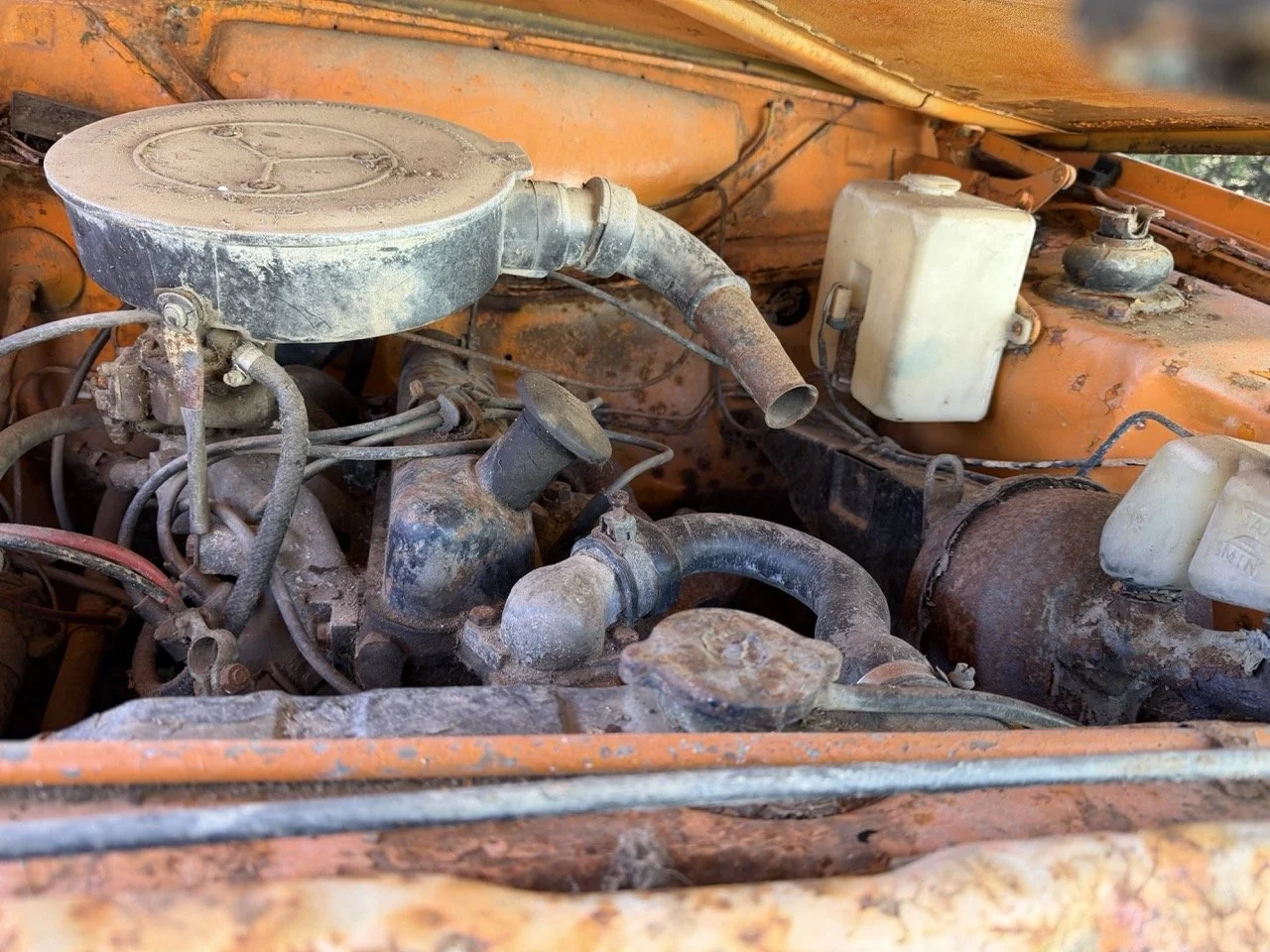 IMG_7717 – grande.jpeg