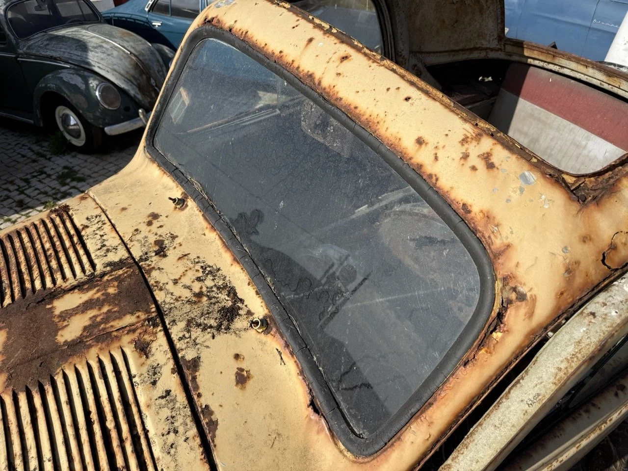 IMG_3174 – grande.jpeg