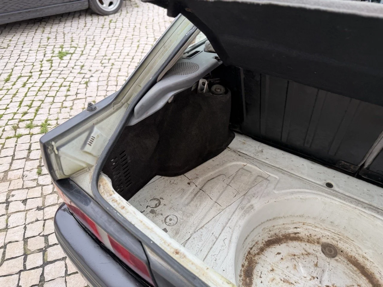 IMG_1289 – grande.jpeg