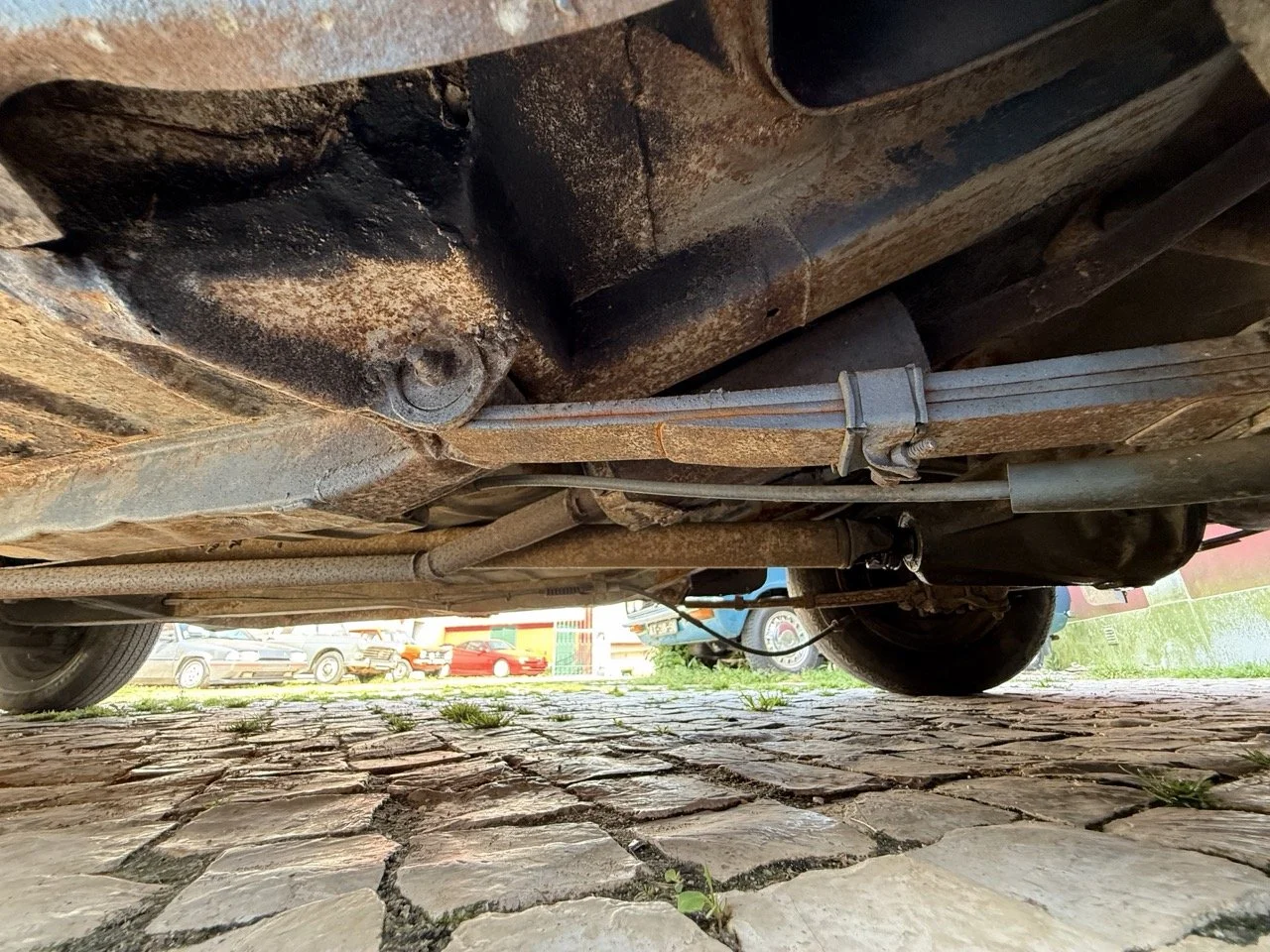 IMG_3571 – grande.jpeg