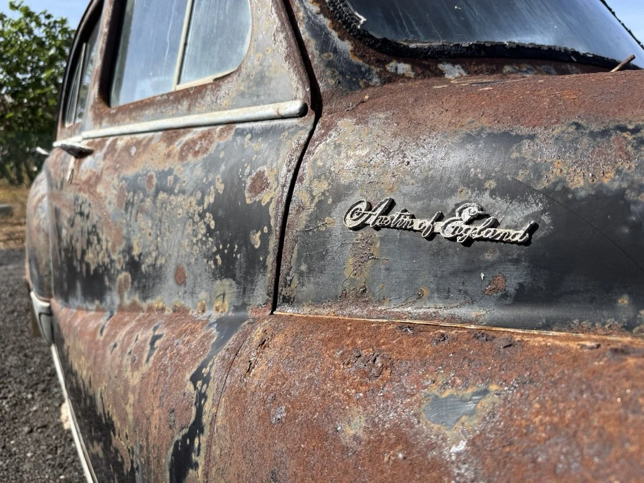 IMG_0457 – grande.jpeg