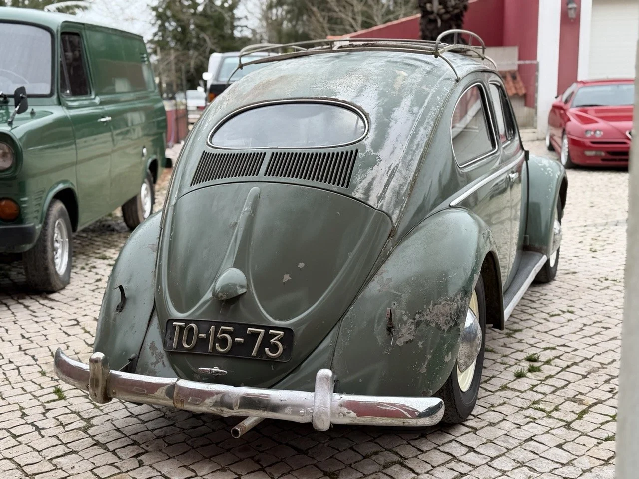 IMG_1105 – grande.jpeg