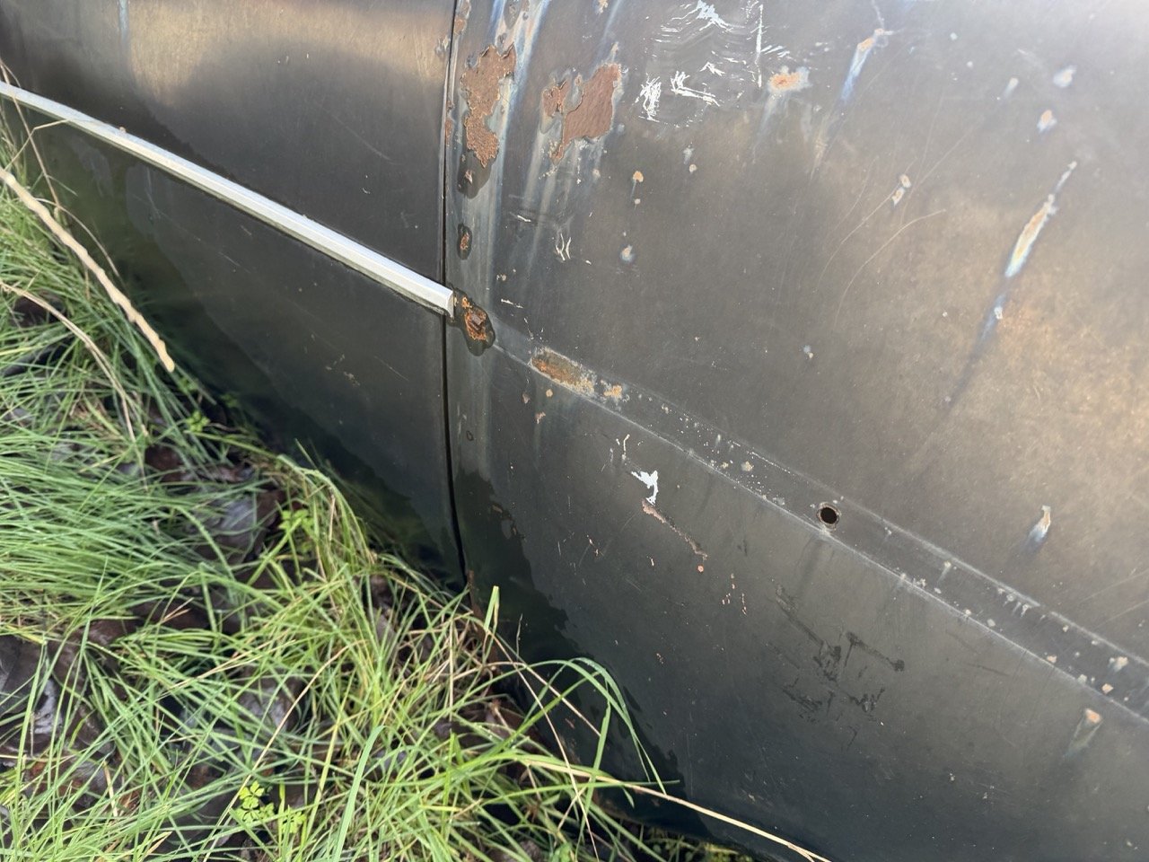 IMG_5039 – grande.jpeg