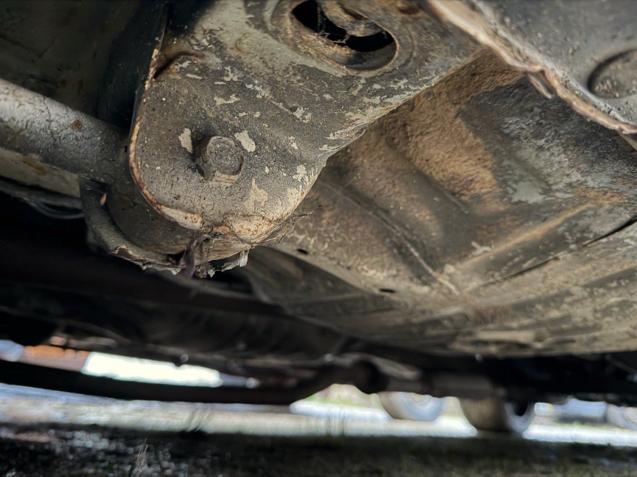 IMG_0217 – grande.jpeg