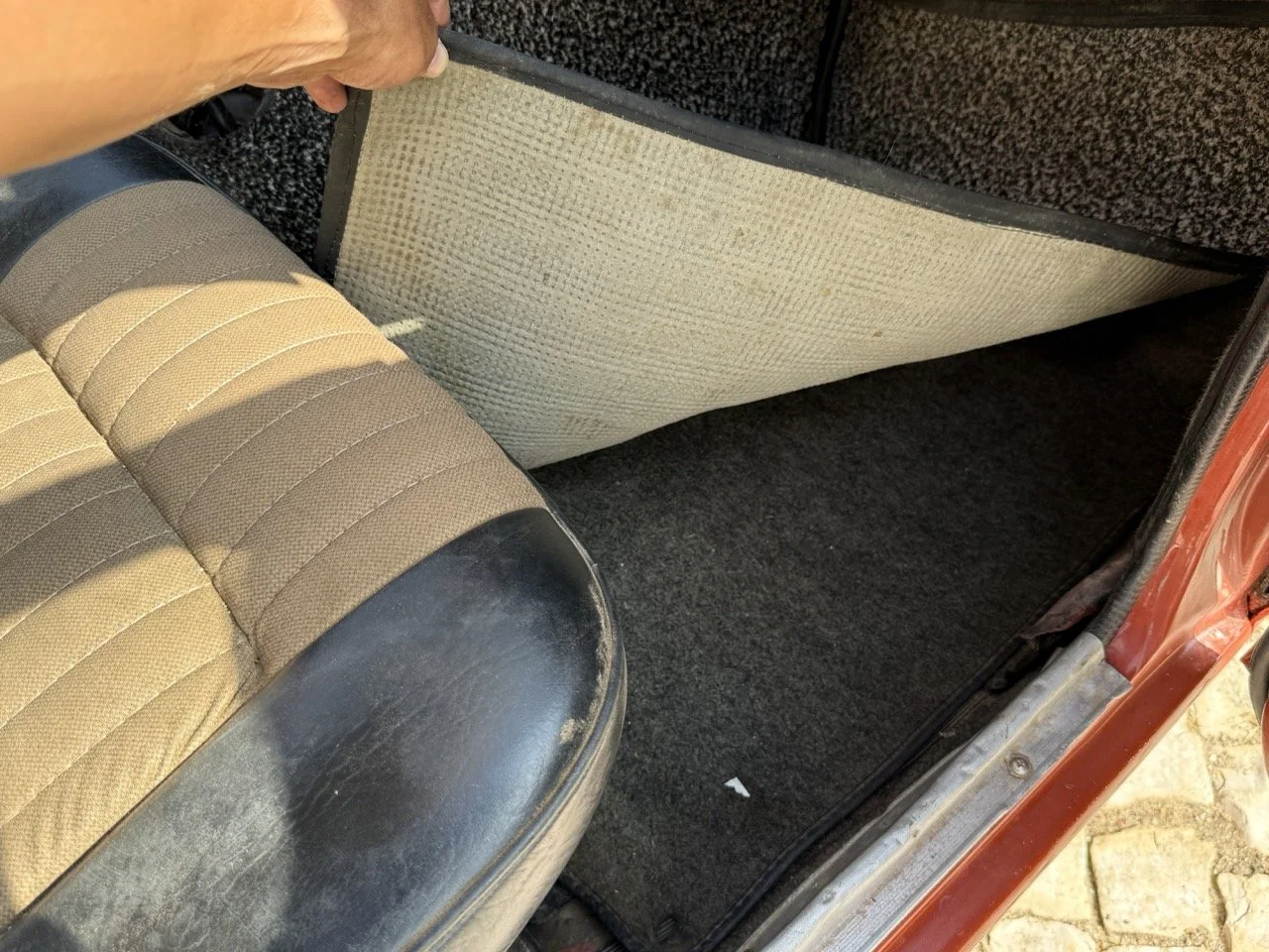 IMG_3657 – grande.jpeg