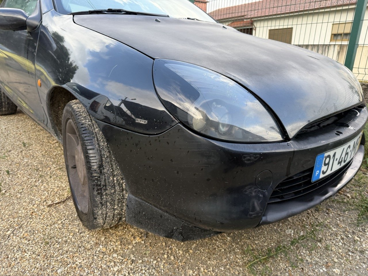 IMG_5323 – grande.jpeg