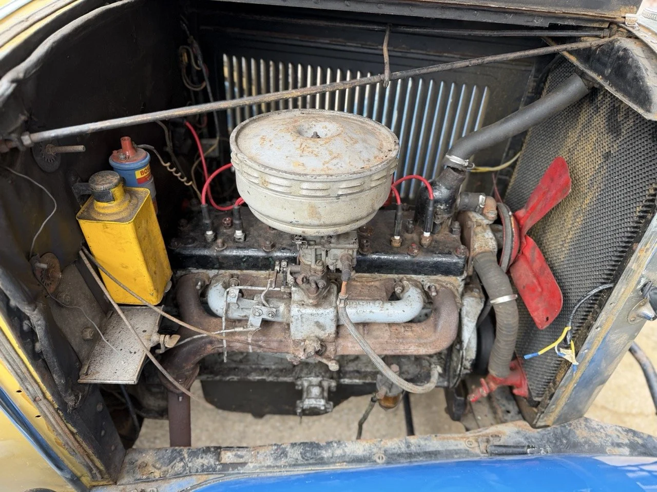 IMG_1540 – grande.jpeg