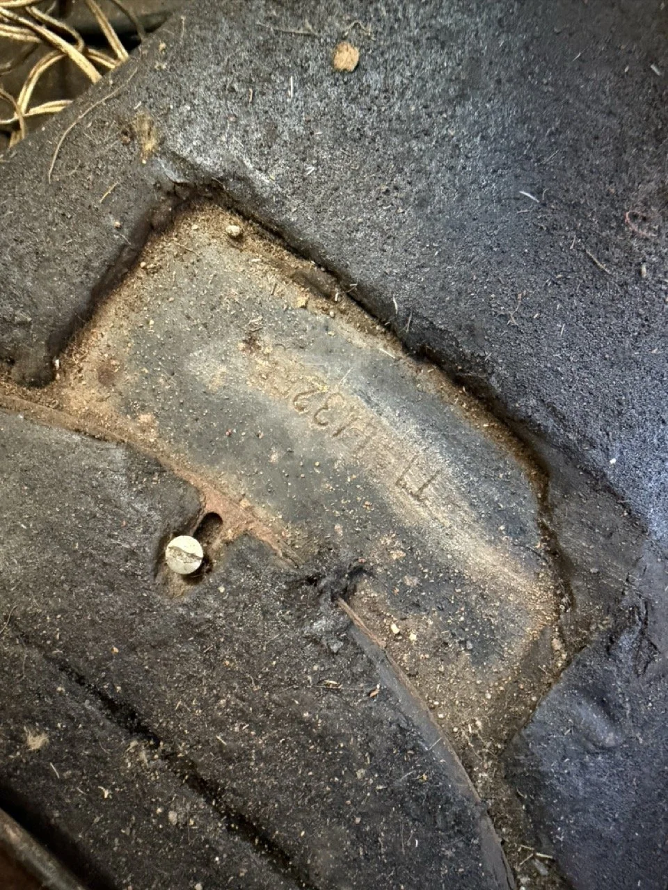 IMG_7541 – grande.jpeg