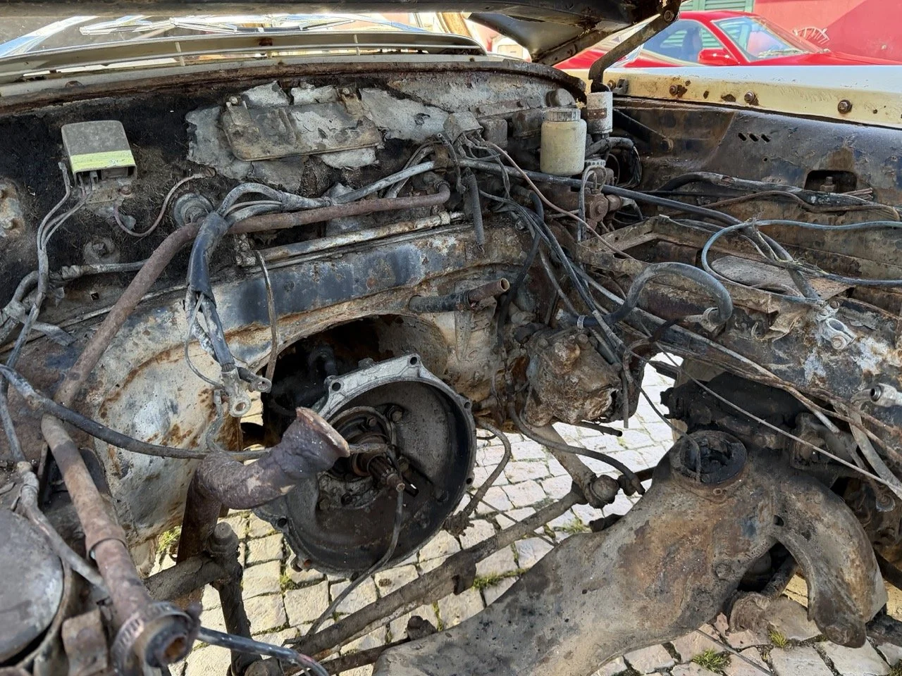 IMG_7105 – grande.jpeg