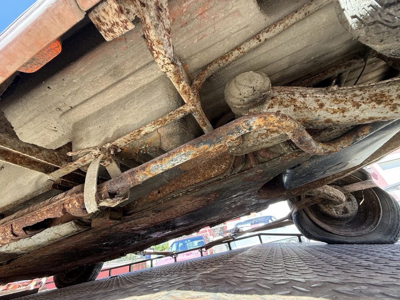 IMG_9056 – grande.jpeg