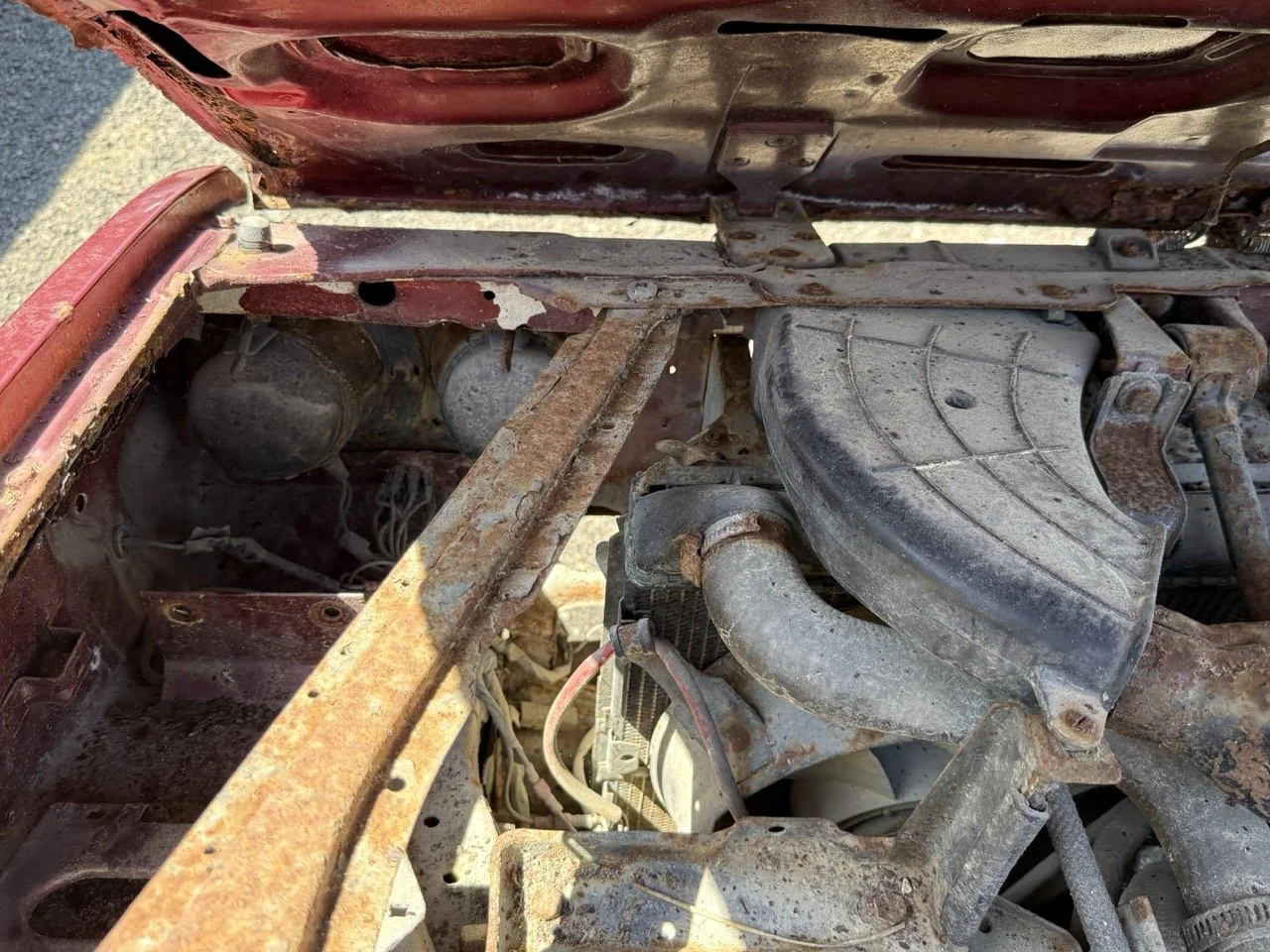 IMG_0925 – grande.jpeg