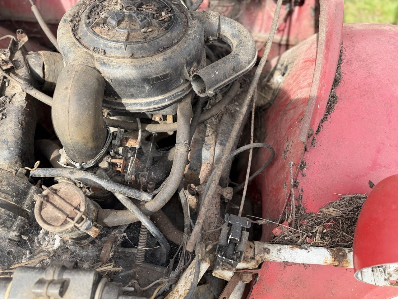 IMG_3860 – grande.jpeg