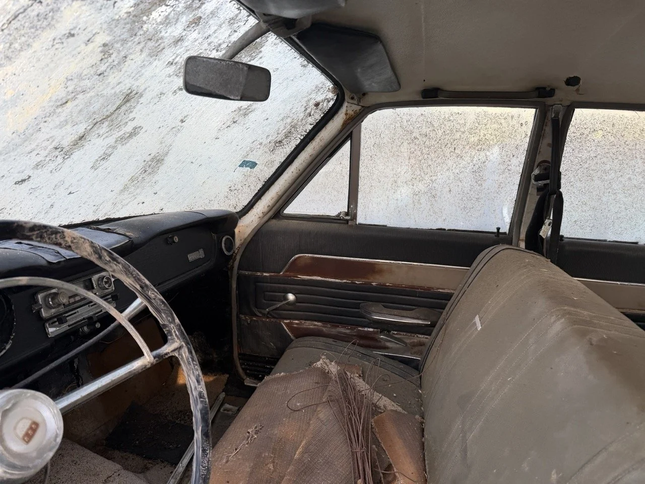 IMG_4082 – grande.jpeg