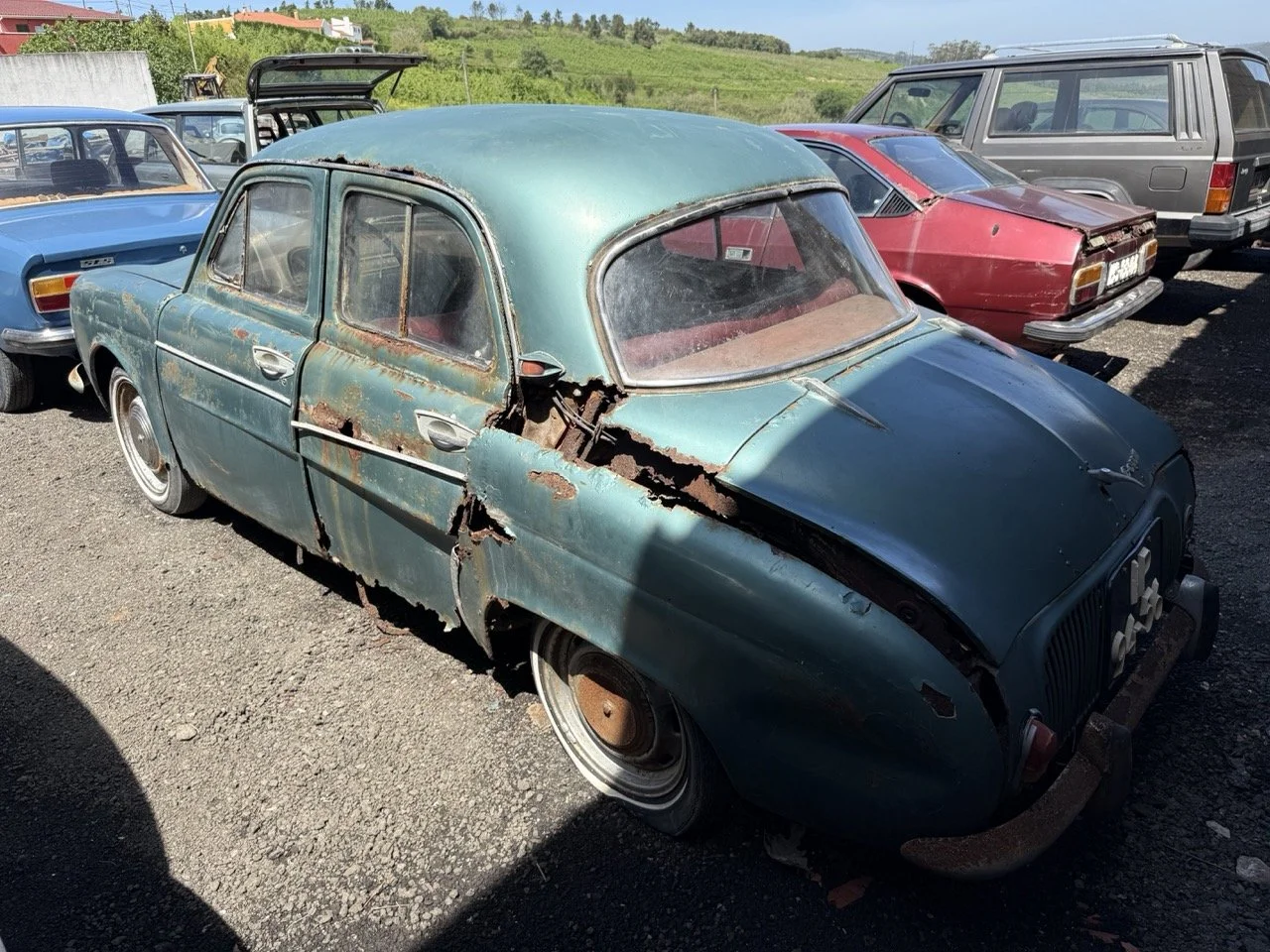 IMG_0821 – grande.jpeg